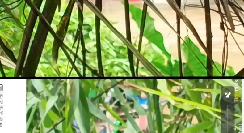 foto slider headline